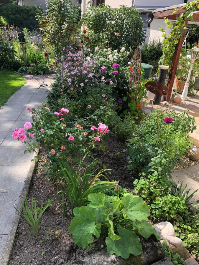 Gartenblick Leichlingen Extérieur photo
