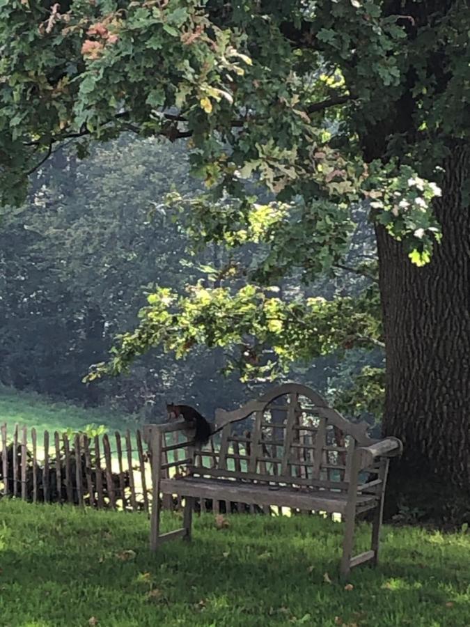 Gartenblick Leichlingen Extérieur photo