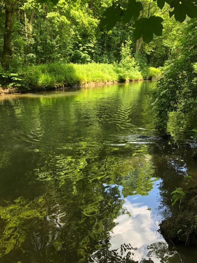 Gartenblick Leichlingen Extérieur photo