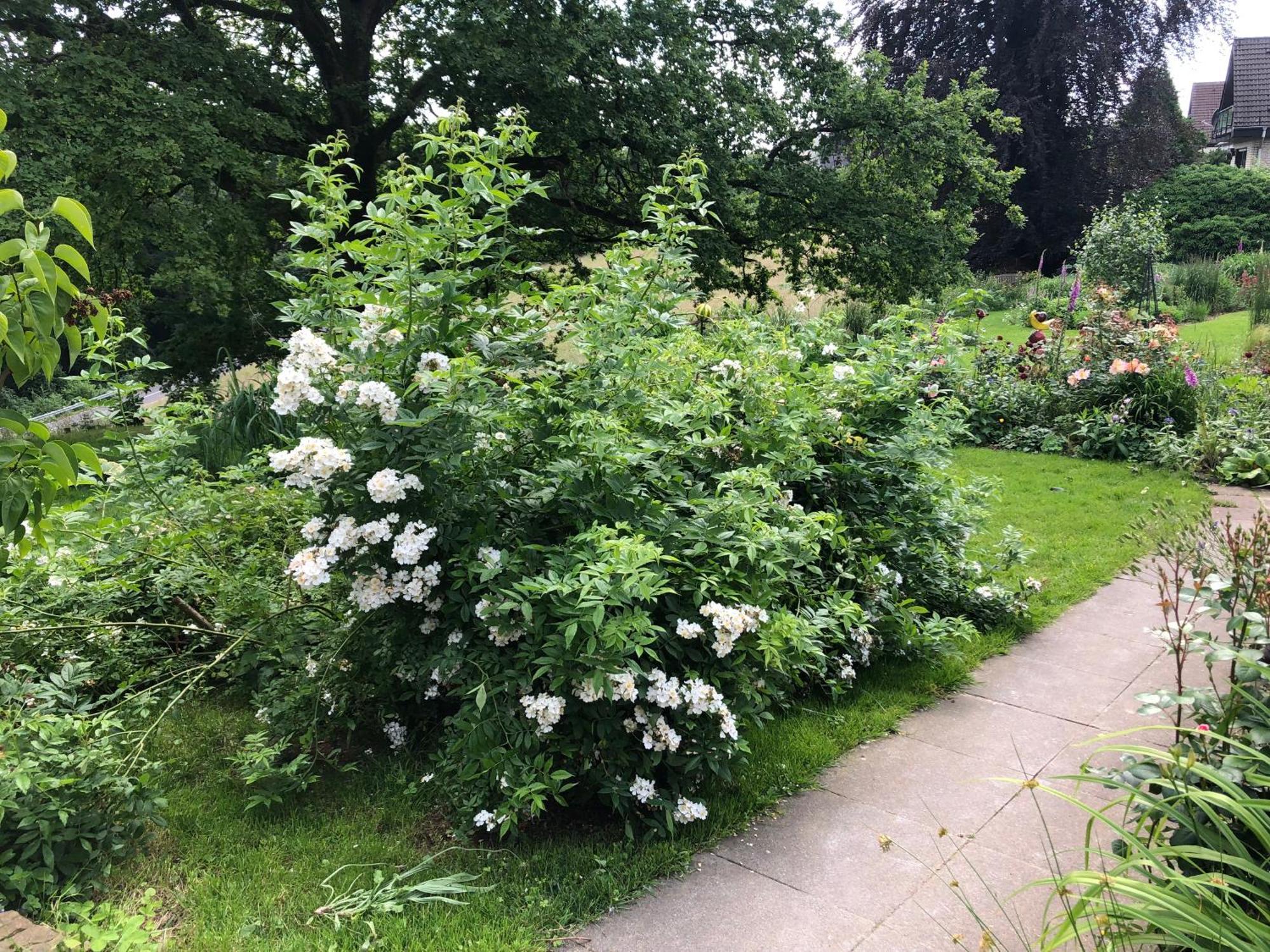 Gartenblick Leichlingen Extérieur photo