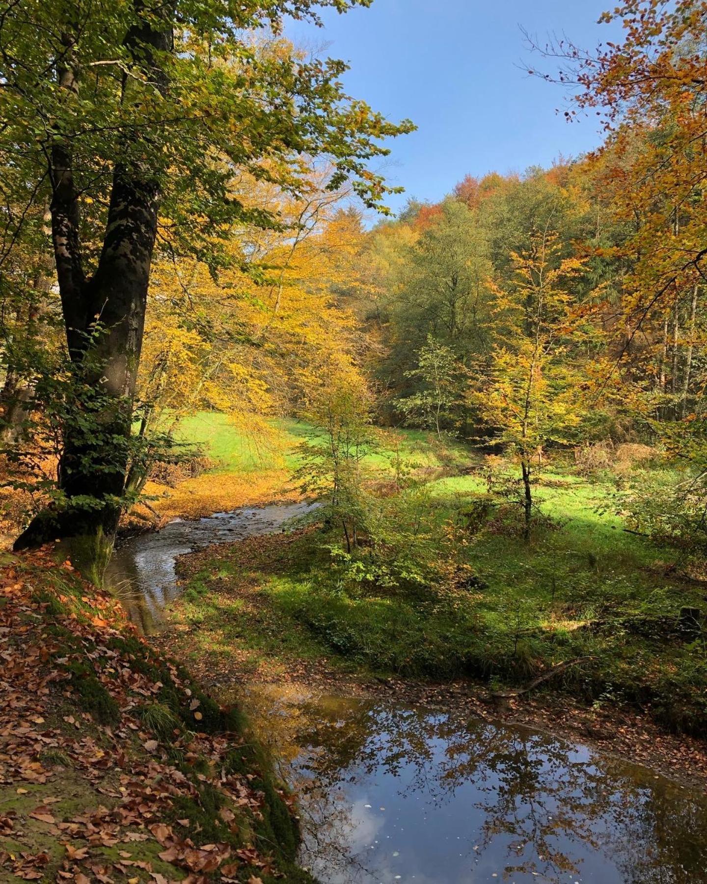 Gartenblick Leichlingen Extérieur photo